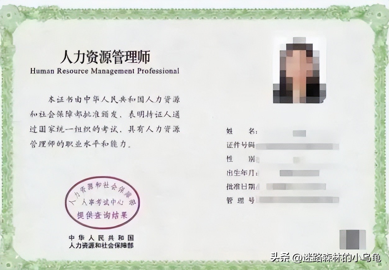 文凭低适合考什么证（没什么文凭考什么证工资最高）5