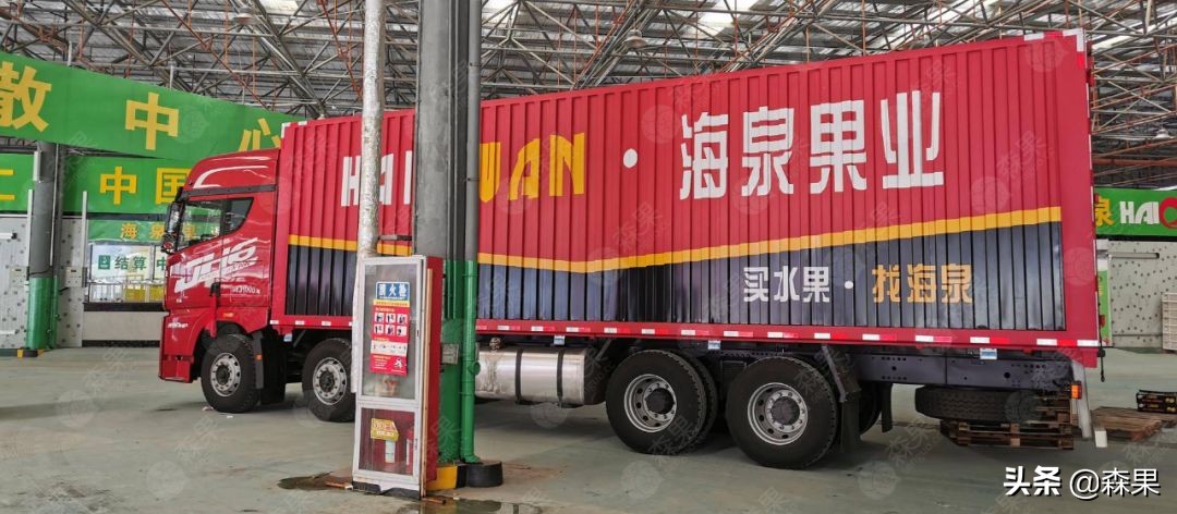 海泉果业官网（山泉果业有限公司）18