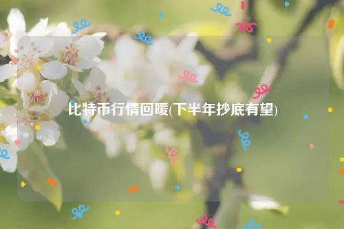 比特币行情回暖(下半年抄底有望)插图 比特币行情回暖(下半年抄底有望)