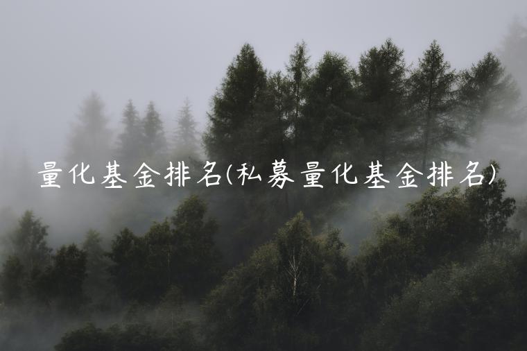 量化基金排名(私募量化基金排名)