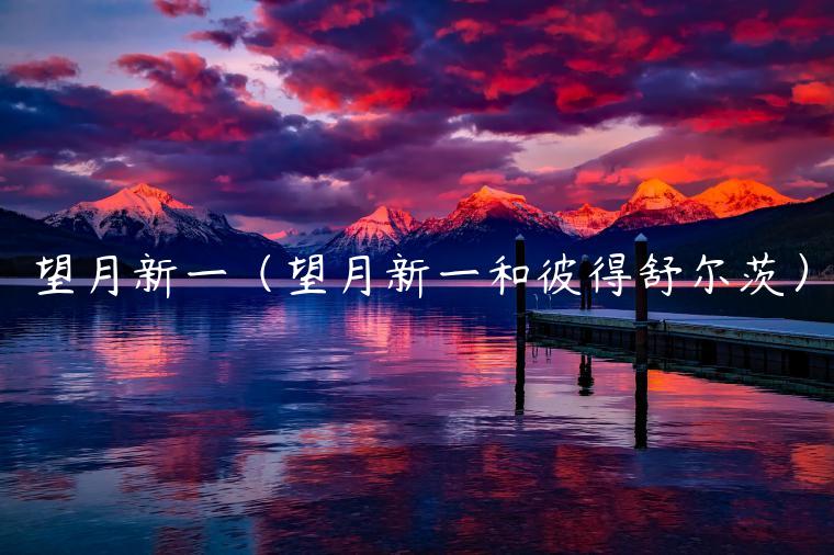 望月新一(望月新一和彼得舒尔茨)