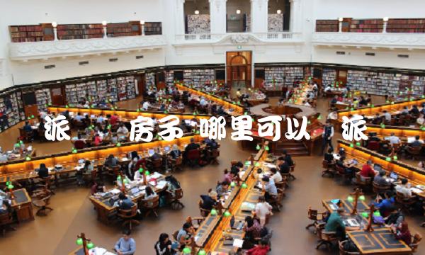 派币买房子 哪里可以买派币