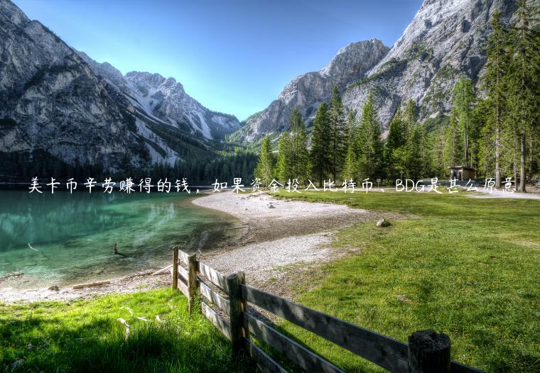 美卡币辛劳赚得的钱,如果资金投入比特币、BDG是甚么原意插图 美卡币辛劳赚得的钱,如果资金投入比特币、BDG是甚么原意