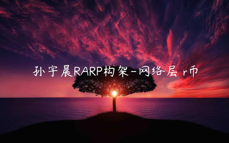 孙宇晨RARP构架-网络层 r币