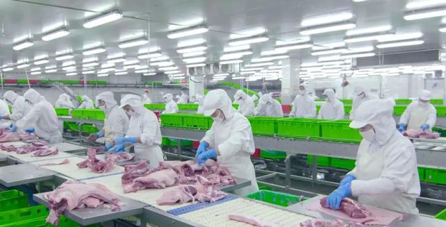 猪肉股票有哪些（猪肉股票有哪些代码）