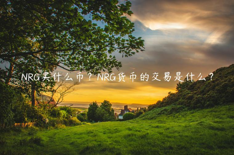 NRG买什么币？NRG货币的交易是什么？