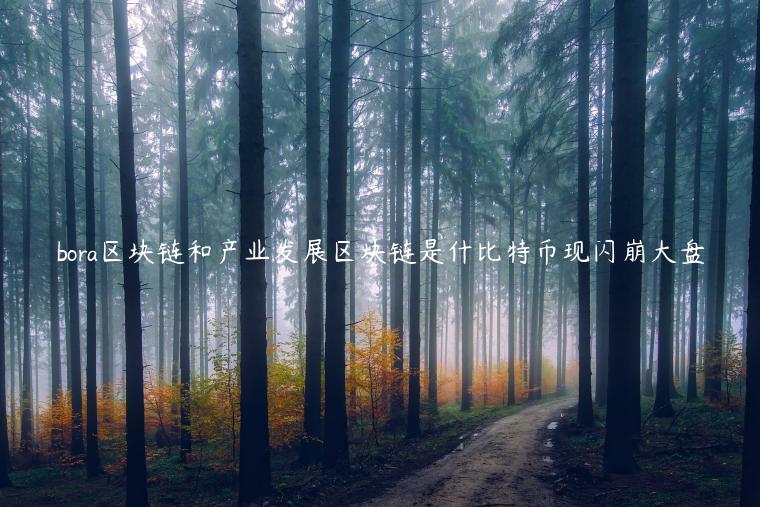 bora区块链和产业发展区块链是什比特币现闪崩大盘