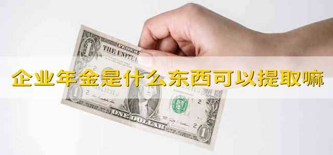 企业年金是什么东西可以提取嘛 什么是企业年金能提取吗