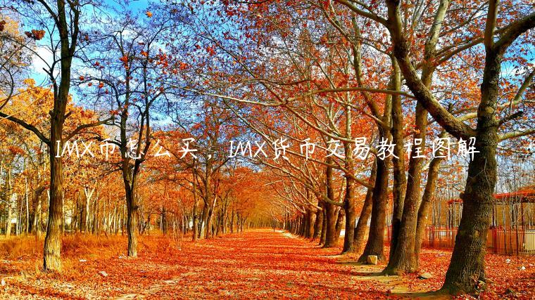 IMX币怎么买,IMX货币交易教程图解插图 IMX币怎么买,IMX货币交易教程图解