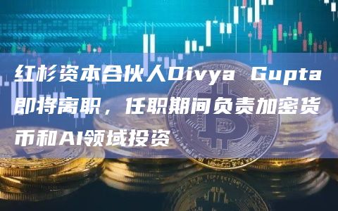 红杉资本合伙人Divya Gupta即将离职，任职期间负责加密货币和AI领域投资