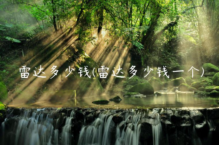 雷达多少钱(雷达多少钱一个)