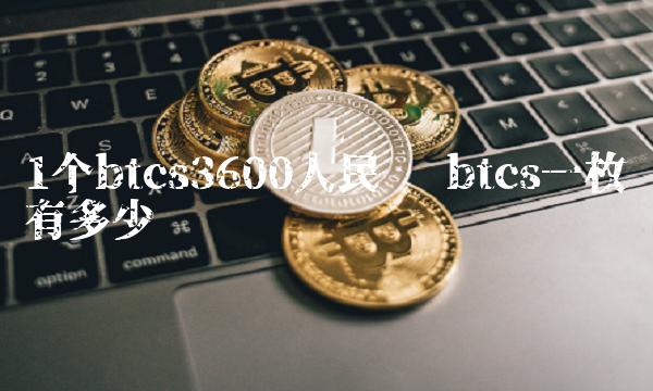 1个btcs3600人民币 btcs一枚币有多少钱