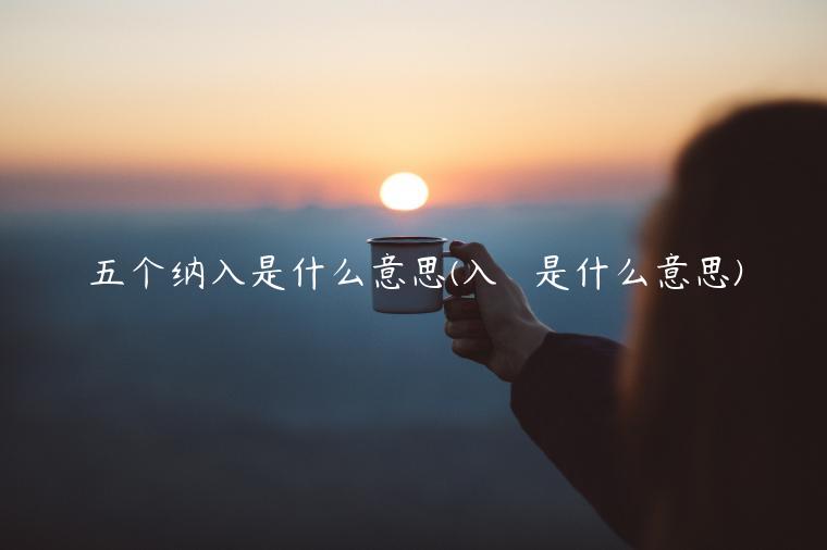 五个纳入是什么意思(入れます是什么意思)