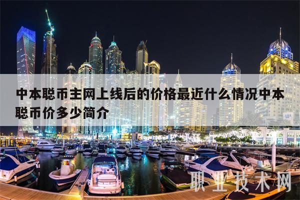 中本聪币主网上线后的价格最近什么情况中本聪币价多少简介