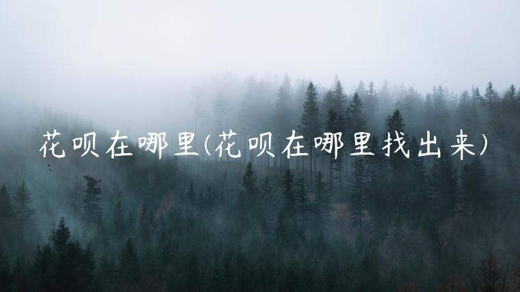 花呗在哪里(花呗在哪里找出来)