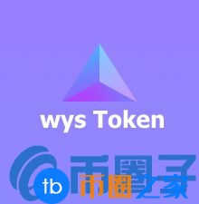 WYS币／wys Token是什么？WYS官网、团队、白皮书介绍
