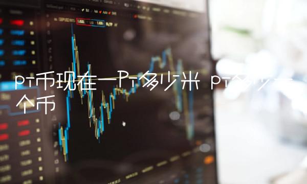 pi币现在一Pi多少米 pi多少一个币