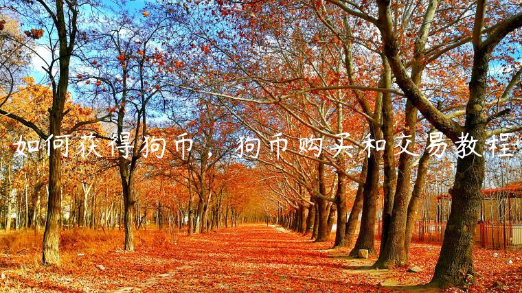 如何获得狗币，狗币购买和交易教程