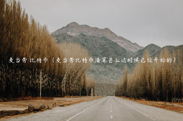麦当劳 比特币（麦当劳比特币清算甚么这时候已经开始的）
