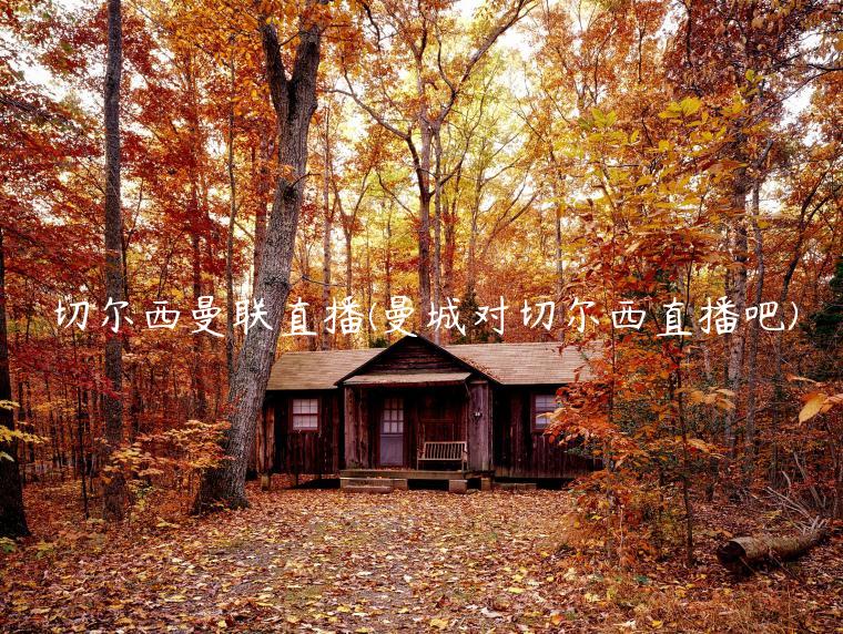 切尔西曼联直播(曼城对切尔西直播吧)