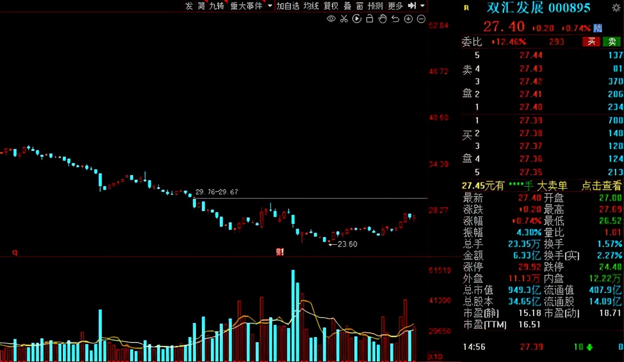 猪肉股票有哪些（猪肉股票有哪些代码）