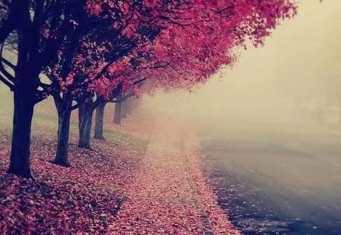 从零开始学期货（从零开始学期货交易策略pdf）