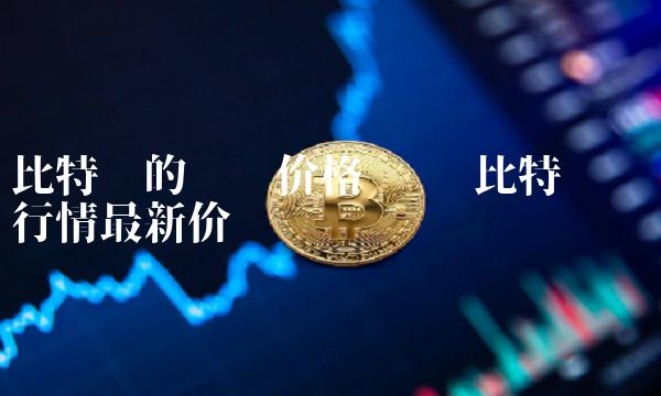 比特币的实时价格资讯