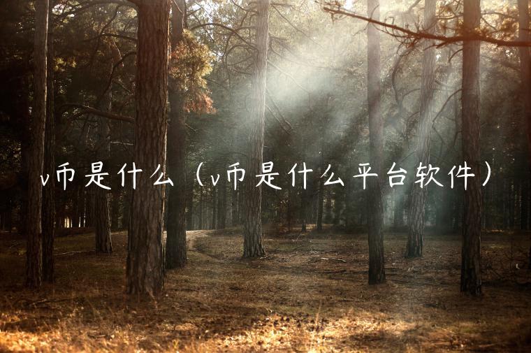 v币是什么(v币是什么平台软件)插图 v币是什么(v币是什么平台软件)