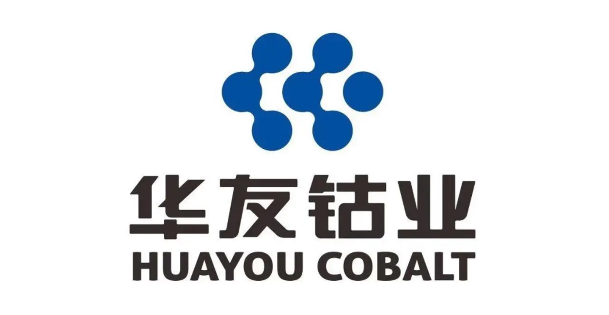 新能源汽车龙头股排名（新能源汽车龙头股排名雪球）5