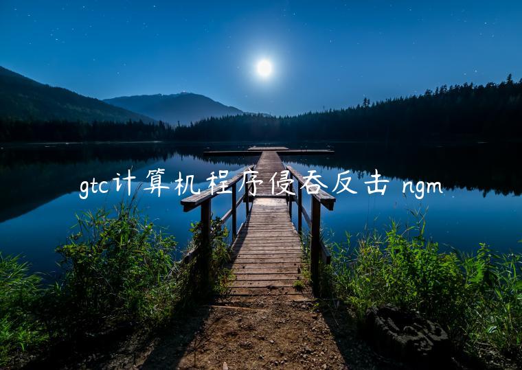 gtc计算机程序侵吞反击 ngm
