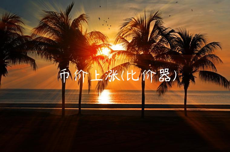 币价上涨(比价器)