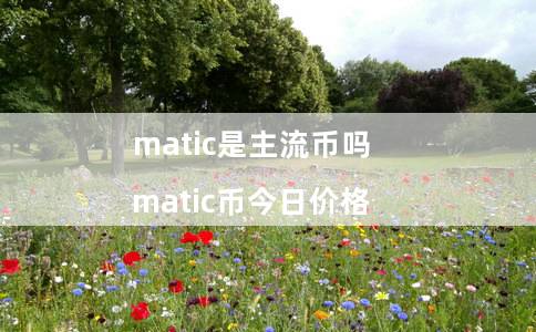 matic是主流币吗（matic币今日价格）