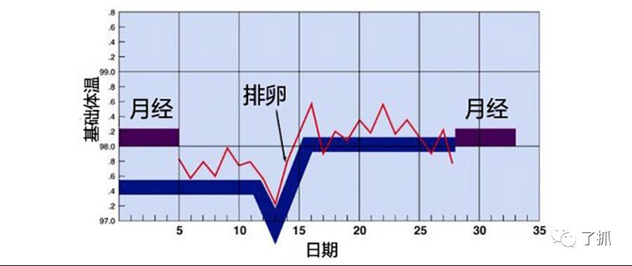 ava官网(japonensisjava官网)