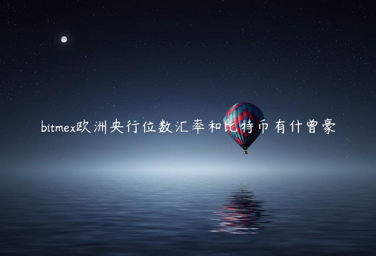 bitmex欧洲央行位数汇率和比特币有什曾豪