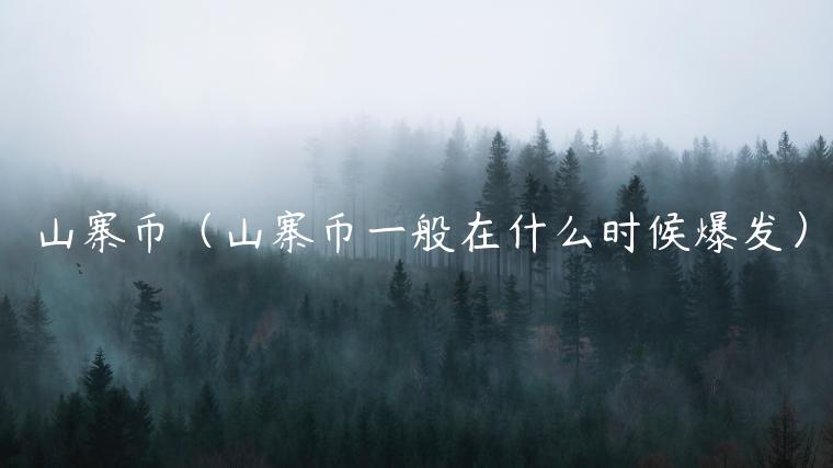 山寨币（山寨币一般在什么时候爆发）