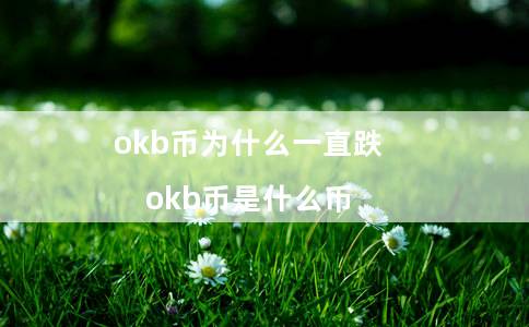 okb币为什么一直跌（okb币是什么币）
