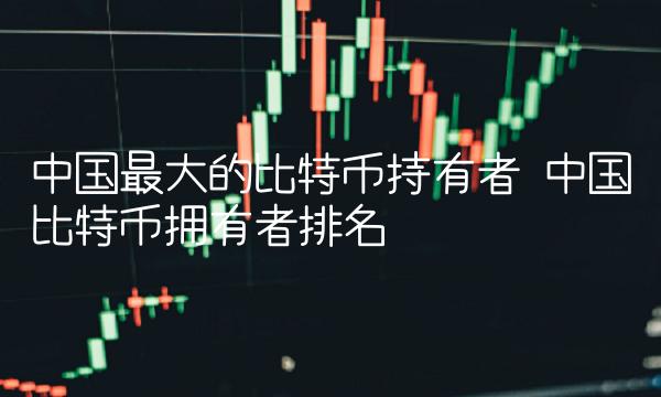 中国最大的比特币持有者 中国比特币拥有者排名