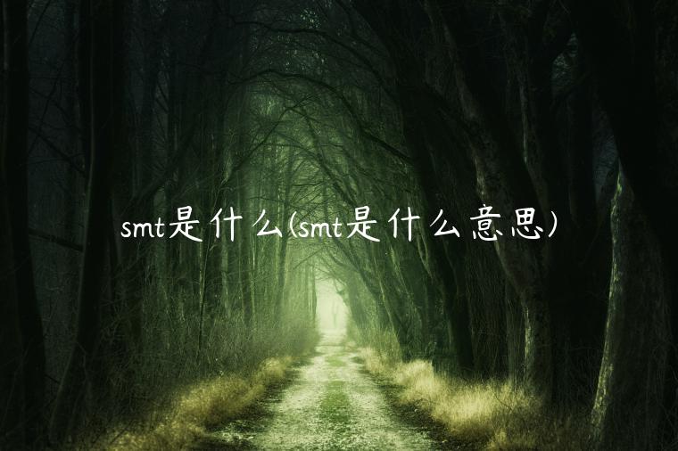 smt是什么(smt是什么意思)