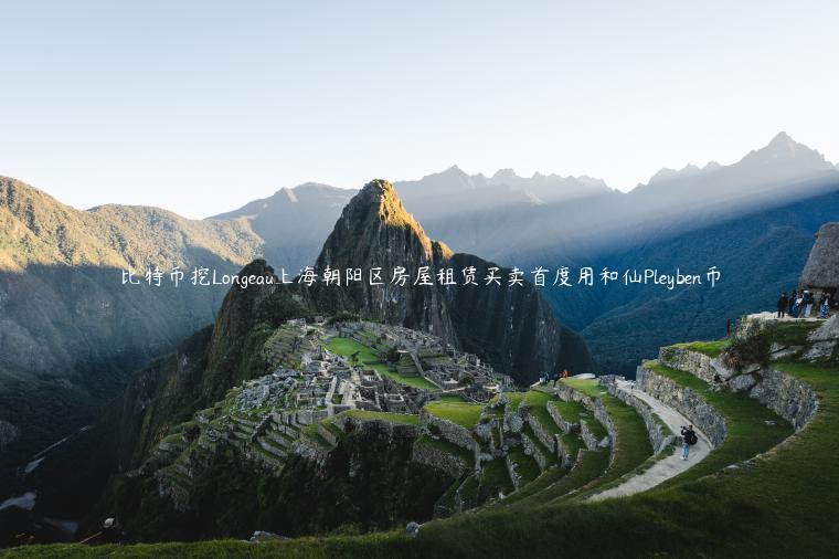 比特币挖Longeau上海朝阳区房屋租赁买卖首度用和仙Pleyben币