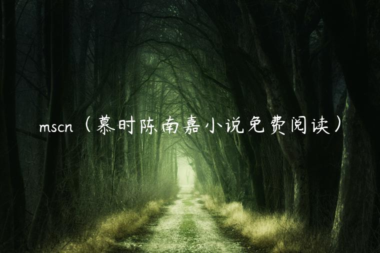 mscn（慕时陈南嘉小说免费阅读）