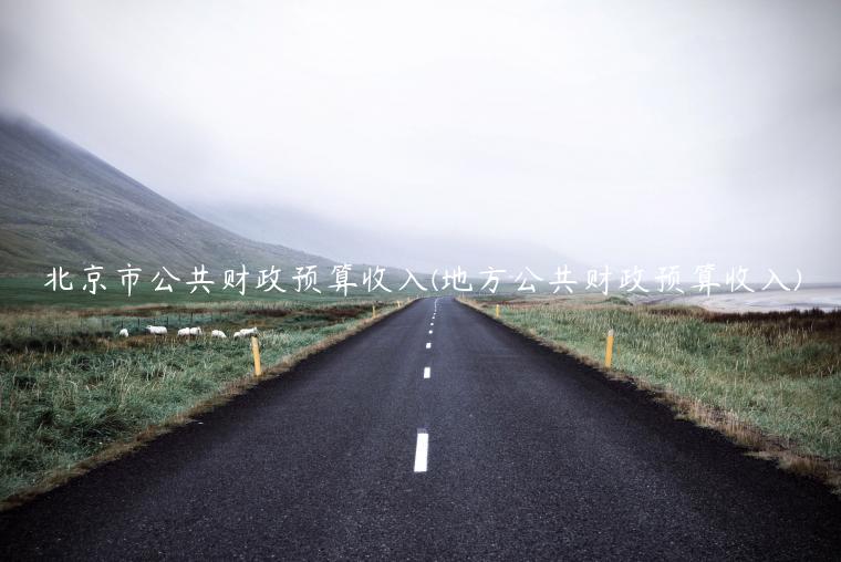 北京市公共财政预算收入(地方公共财政预算收入)