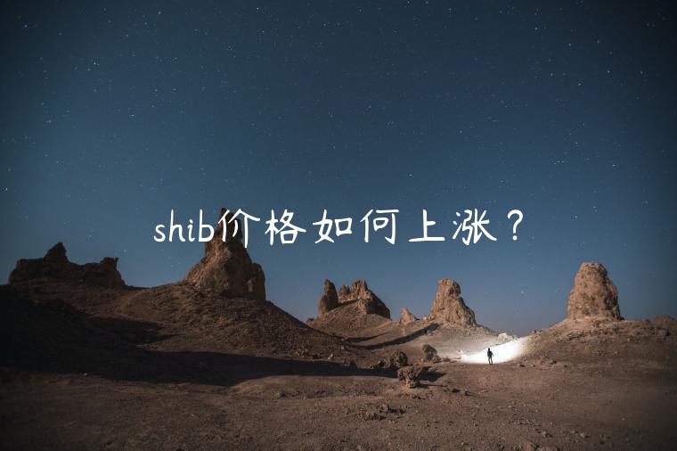 shib价格如何上涨？