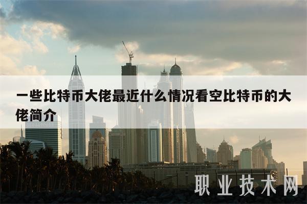 一些比特币大佬最近什么情况看空比特币的大佬简介
