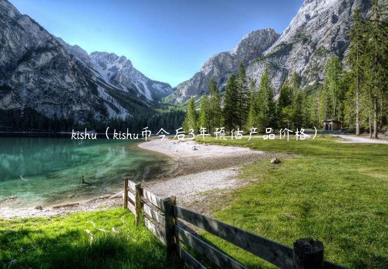 kishu（kishu币今后3年预估产品价格）