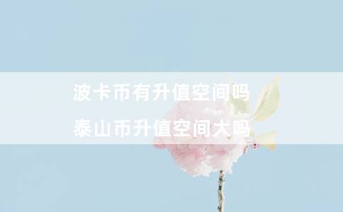 波卡币有升值空间吗(泰山币升值空间大吗)