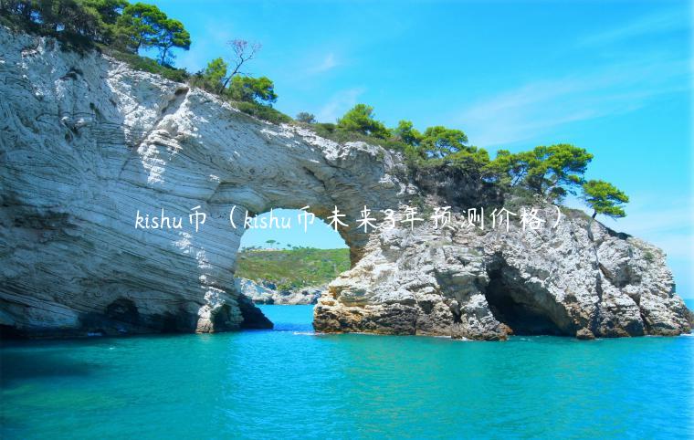 kishu币（kishu币未来3年预测价格）