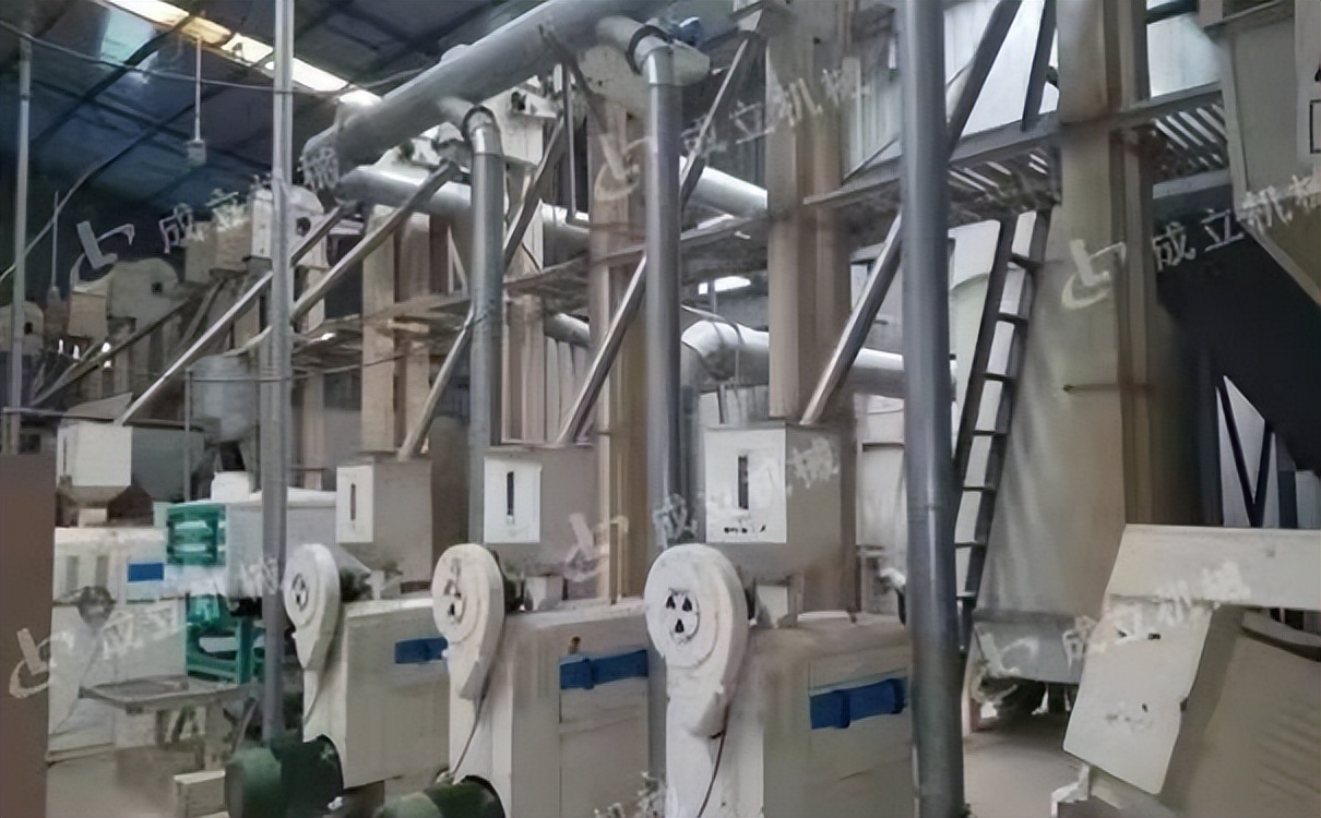 玉米加工厂投资多少钱（玉米加工利润）