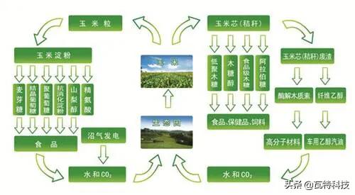 玉米芯深加工加盟项目（玉米芯深加工加盟项目骗局）2