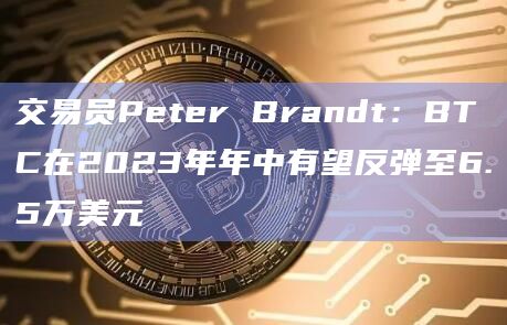 交易员Peter Brandt：BTC在2023年年中有望反弹至6.5万美元