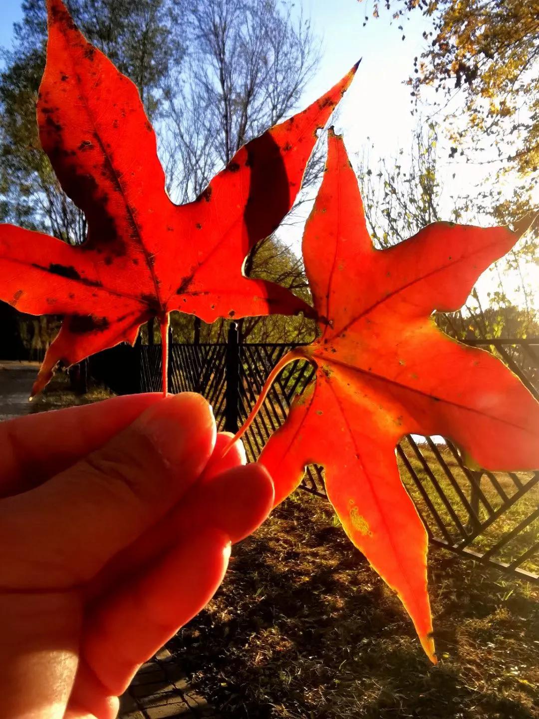 买了10元基金亏光了怎么办（基金投10元亏了会怎么样）